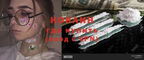 прущие грибы Сясьстрой