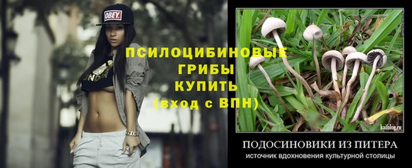 хмурый Бронницы