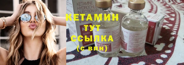 прущие грибы Сясьстрой